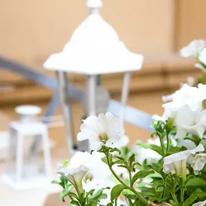2* Bed & Breakfast Regina Elena